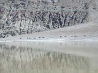64-close-up_of_shore_with_car_in_background