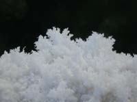 09-close-up_of_salt_crystals_forming_at_edge_of_salt_hole