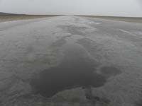 09-wow_puddles_in_the_salt_flats_at_Badwater
