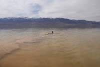 Badwater-20240223V-swimming_in_Death_Valley