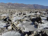 20-salt_flats-Devil's_Golf_Course_salt_formations_with_water_along_West_Side_Rd-March_2010-mid_afternoon