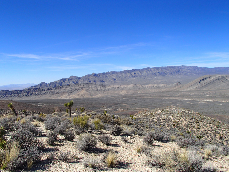 59-Kenny's_picture-desert_scenery