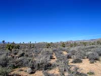09-Kenny's_picture-desert_scenery