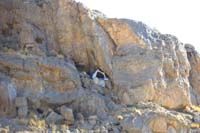 46-tent_in_alcove-interesting_place_for_someone_to_live-at_least_shaded_most_of_day
