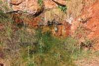 23-small_hanging_garden_due_to_water_seepage