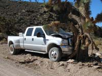 02-strong_Joshua_Tree-too_bad_man_removed_it_about_a_year_later_to_expand_width_of_the_road