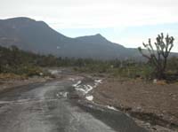 126-more_flood_damage-approaching_the_worst_area