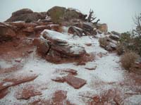 41-few_minutes_later_the_snow_is_really_sticking_to_the_sandstone