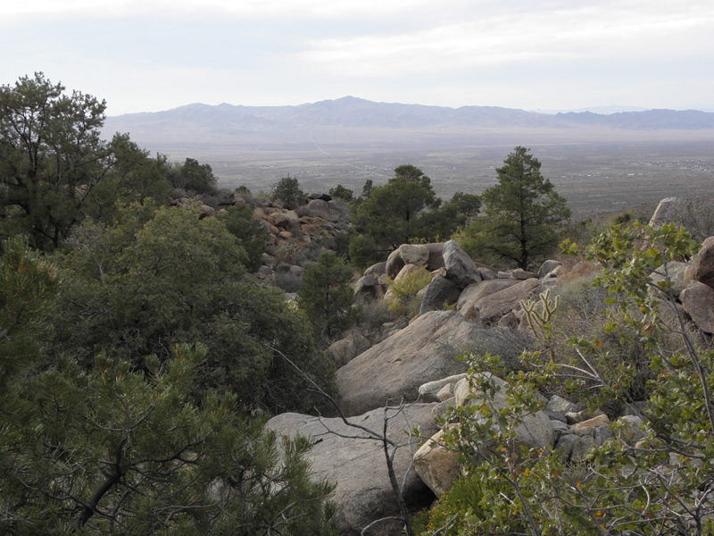 66-views_from_wash_looking_towards_Dolan_Springs