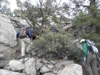 18-we_opted_for_brush_to_right_of_ridgeline_since_exposed_knife-like_and_windy-brush_wasn't_fun