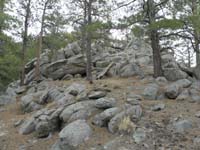 25-pretty_terrain_with_ponderosa_pines_and_granite_rocks