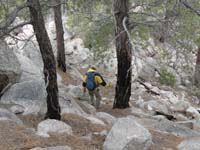 41-Tom_in_the_ponderosas_and_granite_slope_on_the_way_down