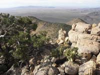 59-be_very-careful_of_all_the_cacti-worse_since_windy