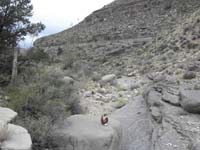 49-as_usual_Peppe_took_off_ahead_of_the_group-he_propped_up_the_bighorn_sheep_horn_as_a_marker