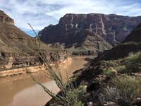 16-scenery_up_canyon_from_cliff_edge_over_river_vantage_point-octillo_with_leaves