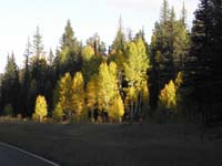 22-lots_of_Fall_colors_along_the_road