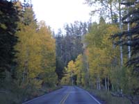 24-Fall_colors_along_road-blurry_since_taken_through_window_while_driving