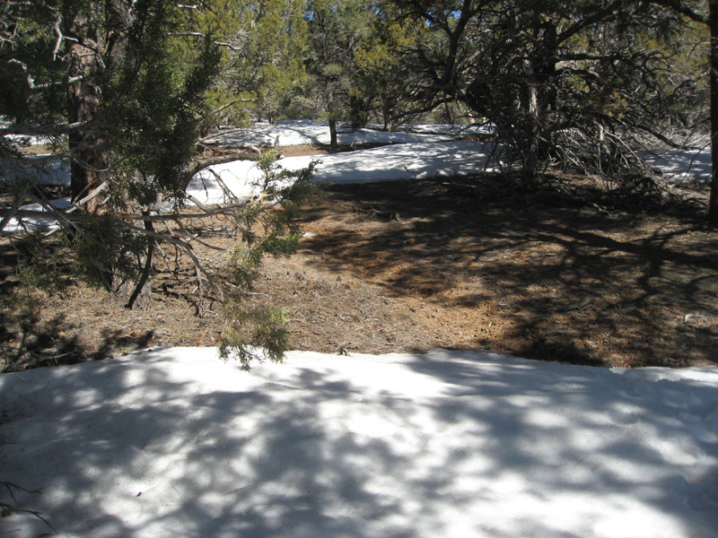 05-now_patches_of_snow_on_the_trail-we_can_still_follow_the_trail