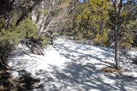 06-where_is_the_trail_now-snow_covered