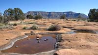 15-water_in_tenajas_across_from_campground-found_several_desert_shrimp-nice_scenic_view-from_Jenn