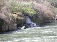 40-happened_to_notice_an_about_10_foot_waterfall_from_spring_across_river_flowing_after_rapids