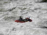 50-wild_adreneline_rush_for_rafters