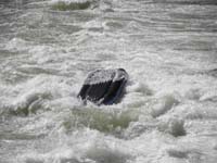55-upside_down_and_underwater