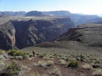 04-looking_back_towards_Grand_Canyon,trailhead,Mark_and_Luba