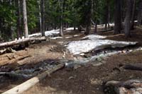 03-many_spots_of_snow_along_trail,muddy_in_many_areas-230pm