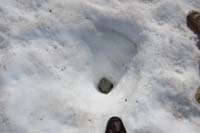 21-rock_warmed_by_sun_melts_snow_causing_rock_to_sink_deeper_into_the_snow