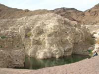 58-resting_at_edge_of_pond_created_earlier_in_year-water_level_9_feet_higher