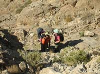 09-Amy_and_Joel_carrying_Sierra-Joel_really_is_the_Daddy_mule_on_this_hike