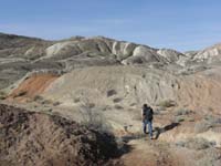92-Eric_hikes_through_pretty_desert_wash_scenery