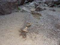 28-very_neat_to_see_the_water_seep_into_the_gravel