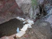 037-top_of_the_ladder_and_a_warm_pool
