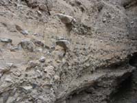 24-more_neat_strata-smooth_section_mixed_with_conglomerate_rock