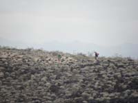 26-Joel_and_Courtney_walking_fast_to_true_highpoint_for_picture_from_here