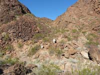 48-James_and_Bella_coming_out_of_the_side_canyon