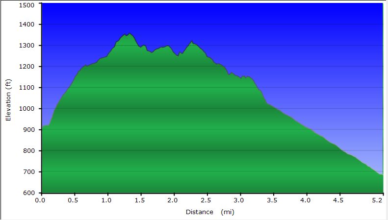 53-dirt_road-profile