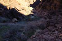 022-looking_down_onto_drainage_for_Boy_Scout_Canyon
