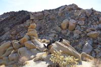 43-family_relaxing_at_a_scenic_spot_for_lunch