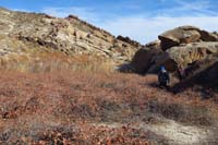 47-traipsing_through_thickets_of_vegetation_via_usage_trail-area_would_look_really_nice_in_the_spring