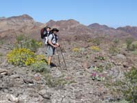 50-Kenny_and_Daddy_with_blooming_Brittlebush_and_Beavertail_Cacti