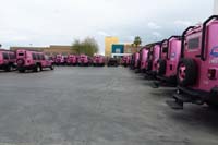 12-Pink_Jeep_yard-so_amazing_to_see_all_trucks_lined_up_not_on_tour_during_peak_season-somber_moment_for_all