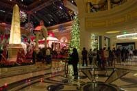 05-line_for_the_Bellagio_Conservatory