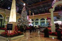 06-entering_the_beautiful_Bellagio_Conservatory-social_distancing_markers_and_signs