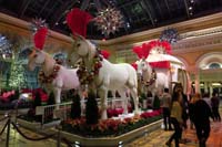 10-very_pretty_floral_displays-Bellagio_never_disappoints