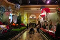 13-very_pretty_floral_displays-Bellagio_never_disappoints