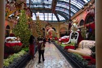 15-Bellagio_Conservatory_decorated_for_Christmas
