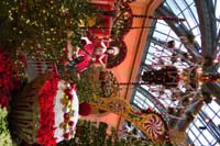 17-Bellagio_Conservatory_decorated_for_Christmas